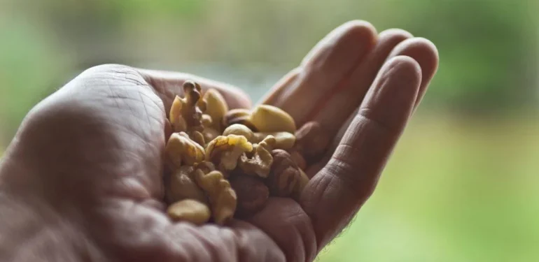 Sabahları Bir Avuç Kaju Yemenin 5 Harika Faydası