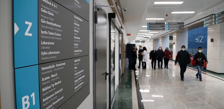 İstanbul’da geçen yıl kuduz riskli temas nedeniyle 124 bin kişi hastaneye başvurdu